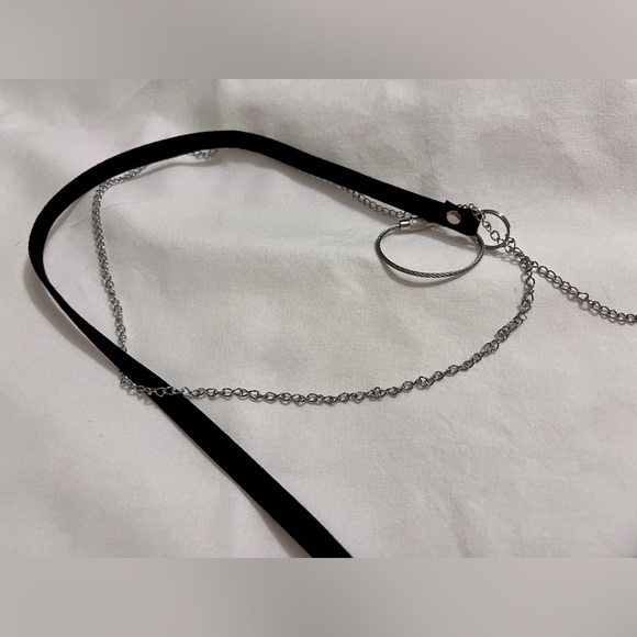 SM Adjustable Pet 🐢 Turtle and or Tortoise Leash - Picture 2 of 4